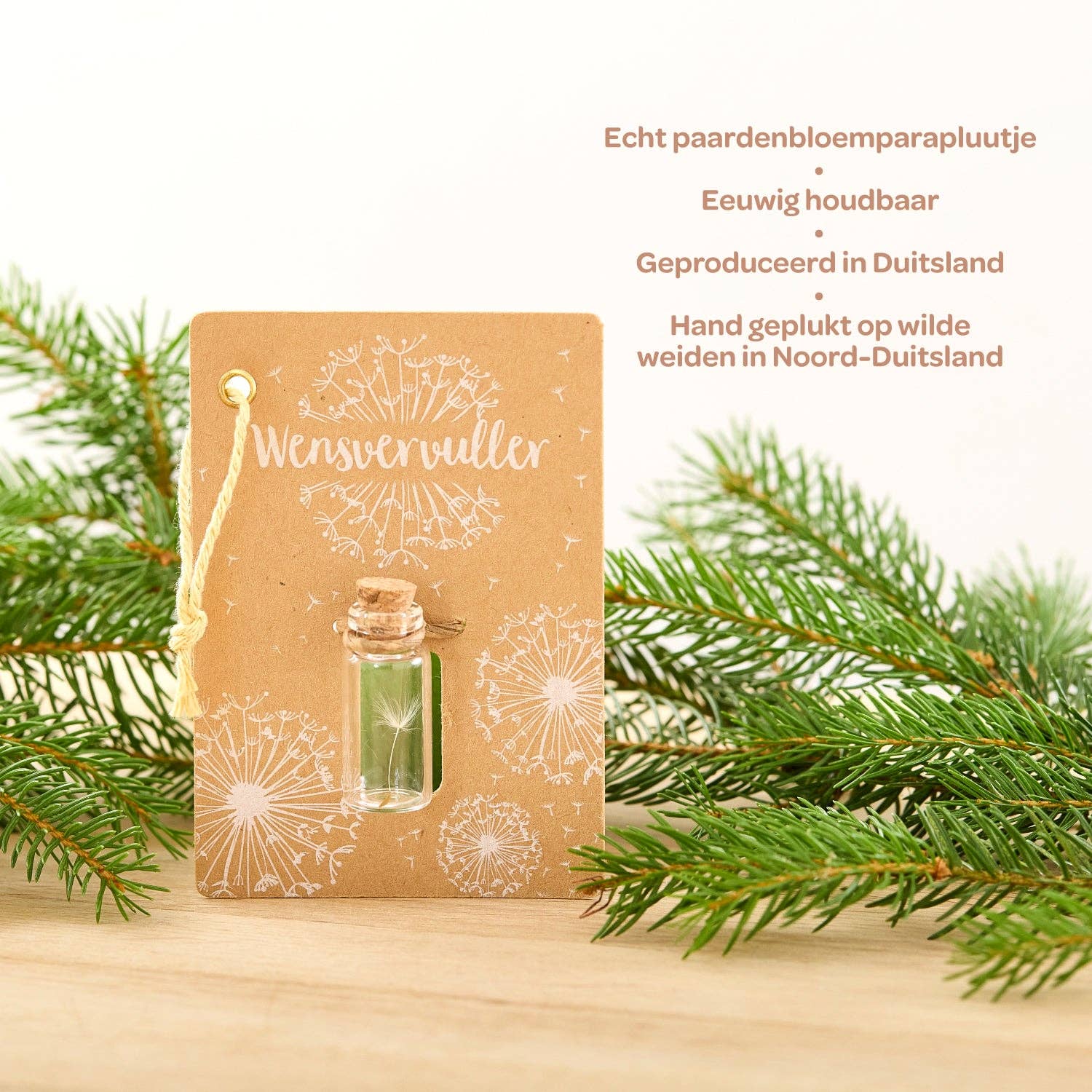 TDJ Stadtgärtner GmbH – Großhandel Partygeschenk – Kleine Wensvervuller (NL)6