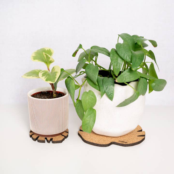 Treleaf - Wholesale Plant Pot - Kostr™ - Monstera Leaf-shaped cork plant pot coaster8