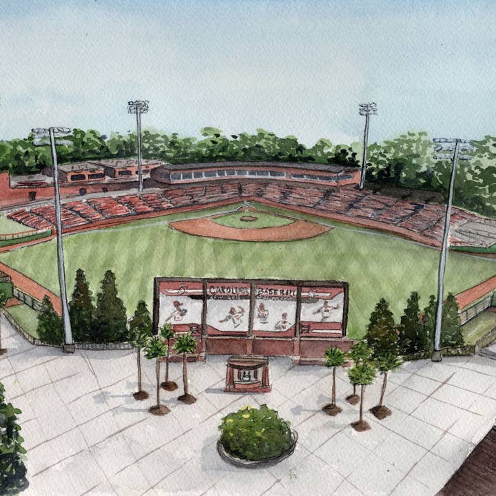 The University of South Carolina Baseball Watercolor Art Print for wholesale by Grace Langdon Art