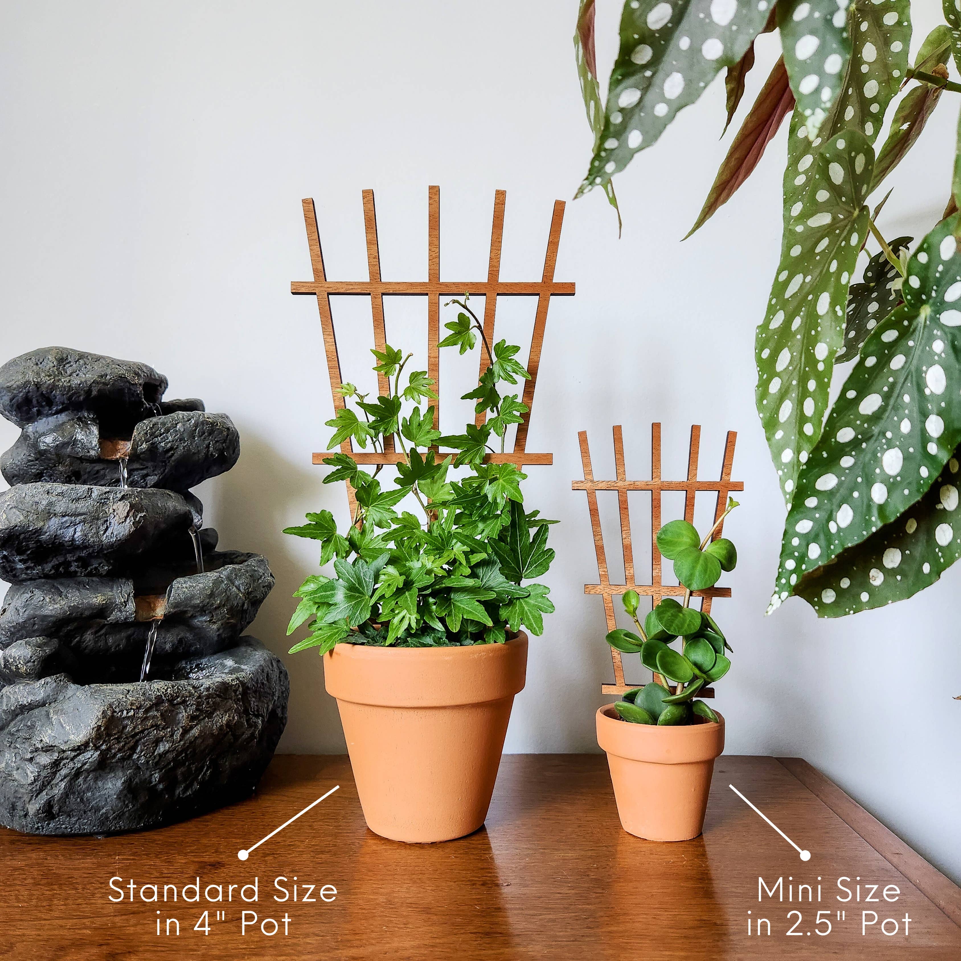 Leaf & Node - Wholesale Trellis - Garden Style Indoor Plant Trellis (Wood) (2 Sizes)2
