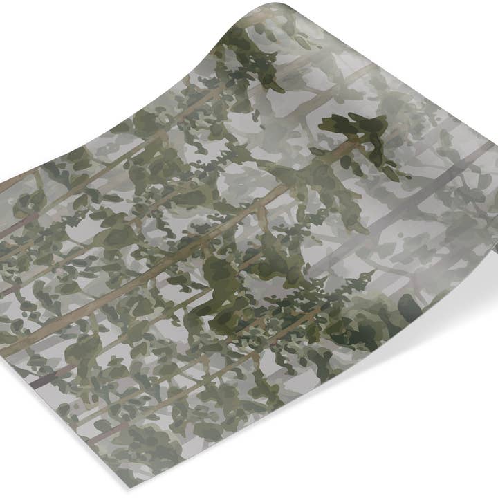 Walloha - Wholesale Wallpaper - Forest wallpaper - MISTY FOREST - Children's bedroom wallpaper9