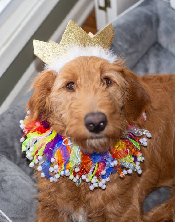 Pet Palette Distribution - Wholesale Pet Hat - Dog - Multipet Party Crown Gold Small1