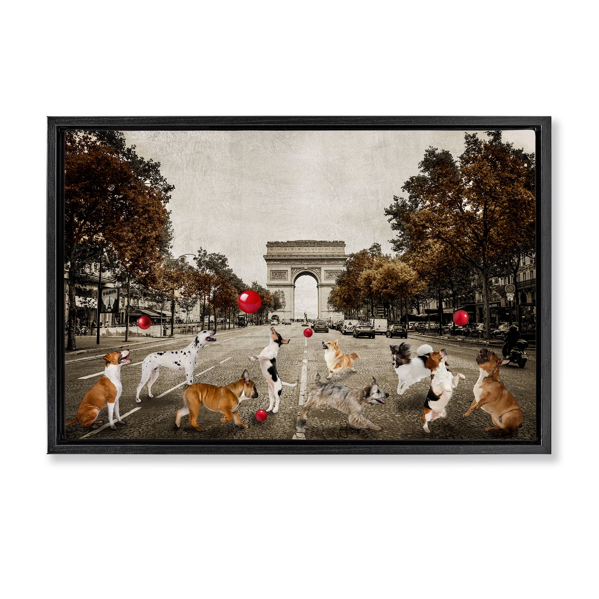 Stupell Industries - Wholesale Wall Sign - Dogs Playing Among Architecture - Framed Wall Art22