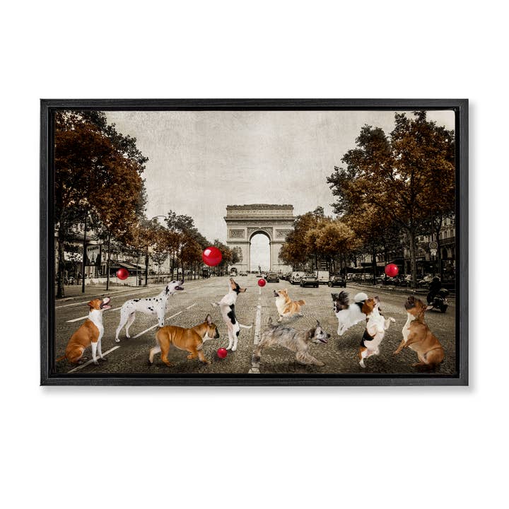 Stupell Industries - Wholesale Wall Sign - Dogs Playing Among Architecture - Framed Wall Art22