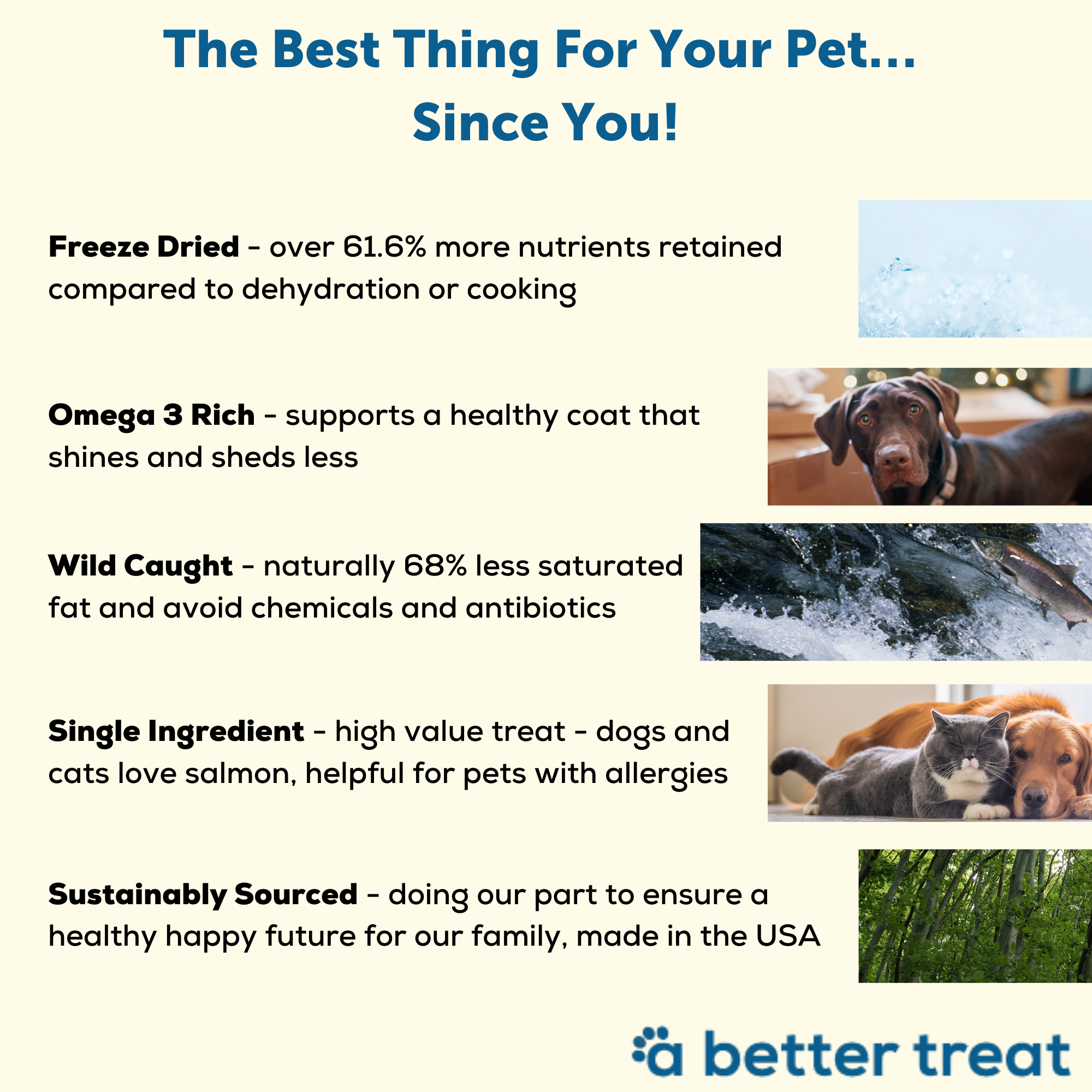 A Better Treat - Wholesale Pet Treats - Dog - Freeze Dried Wild Caught Salmon Dog and Cat Treats3