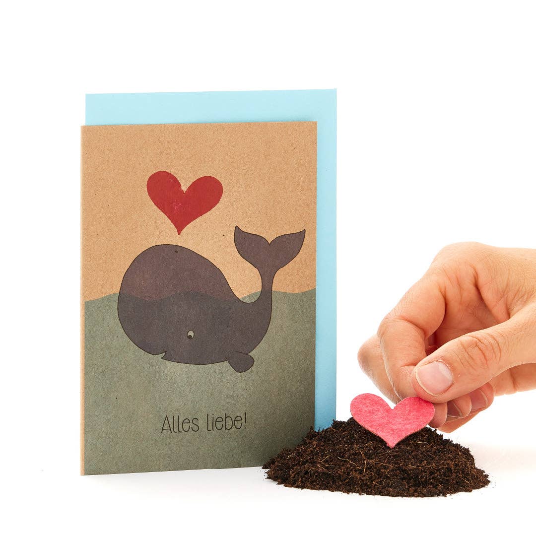 TDJ Stadtgärtner GmbH – Großhandel Liebeskarte – Grußkarte - Alles Liebe - Wal1