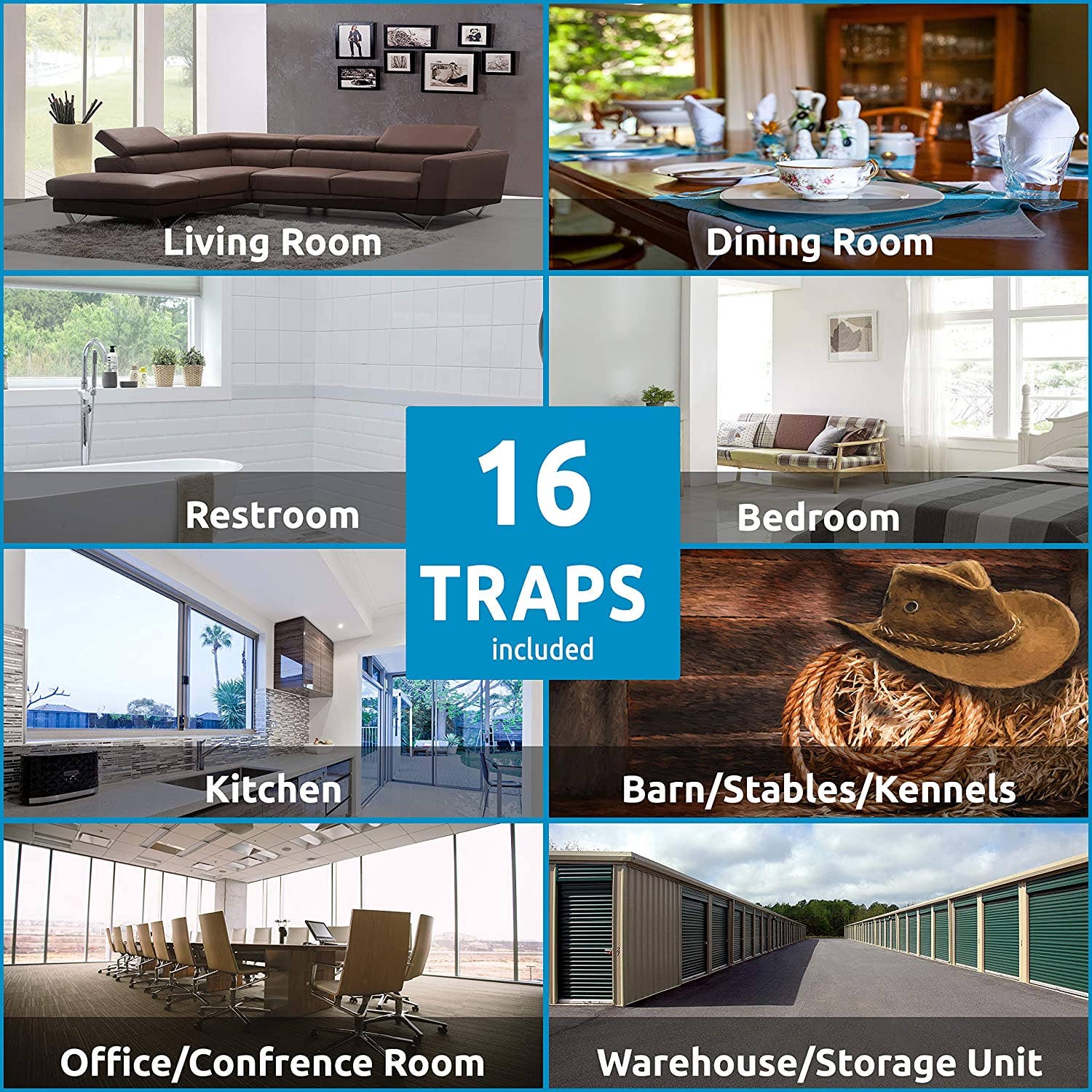 W4W products - Wholesale Insect Repellent - Window Bug & Fly Traps - Non-Toxic [4, 8 & 16 Traps]4