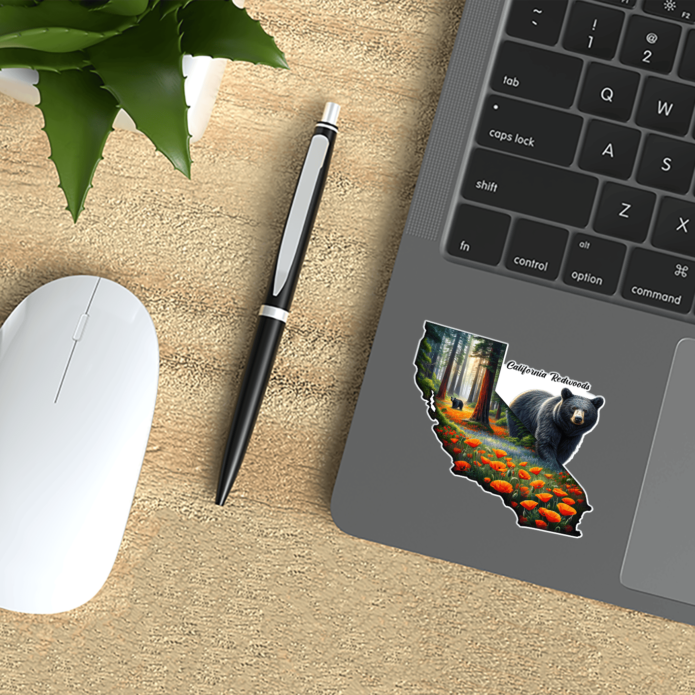 Sticker Atlas - Wholesale Sticker - California State Bear & Poppies Sticker4