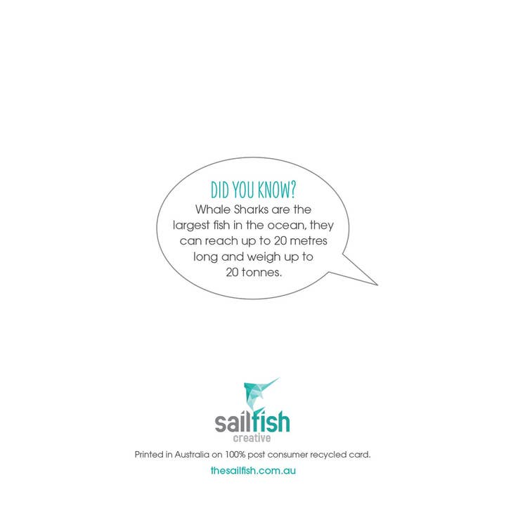 Sailfish Creative - Wholesale Everyday Greeting Card - Other Card - Whale Shark1