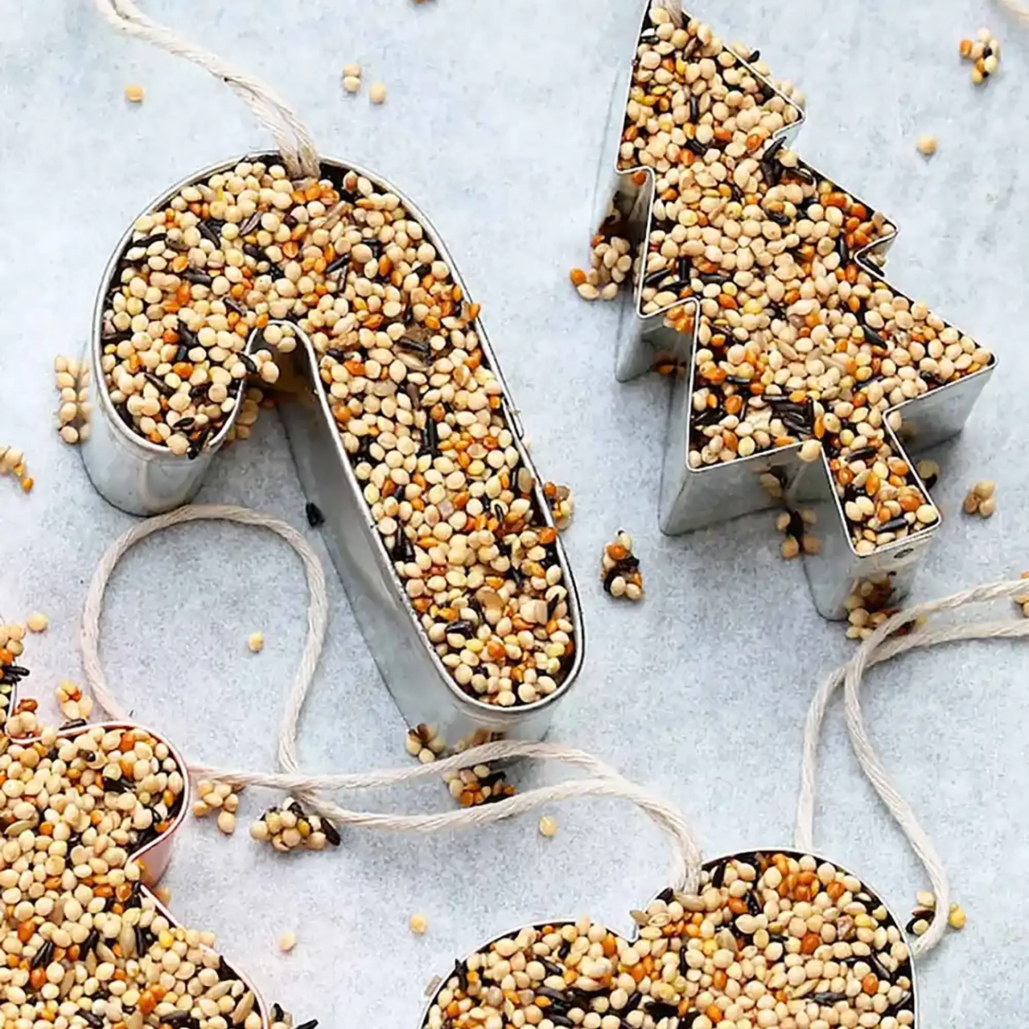 Mr. Sogs - Wholesale DIY Craft Kit - DIY Birdseed Garden Ornament Kit3