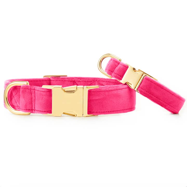 The Foggy Dog - Wholesale Pet Collar - Dog - Hot Pink Velvet Dog Collar