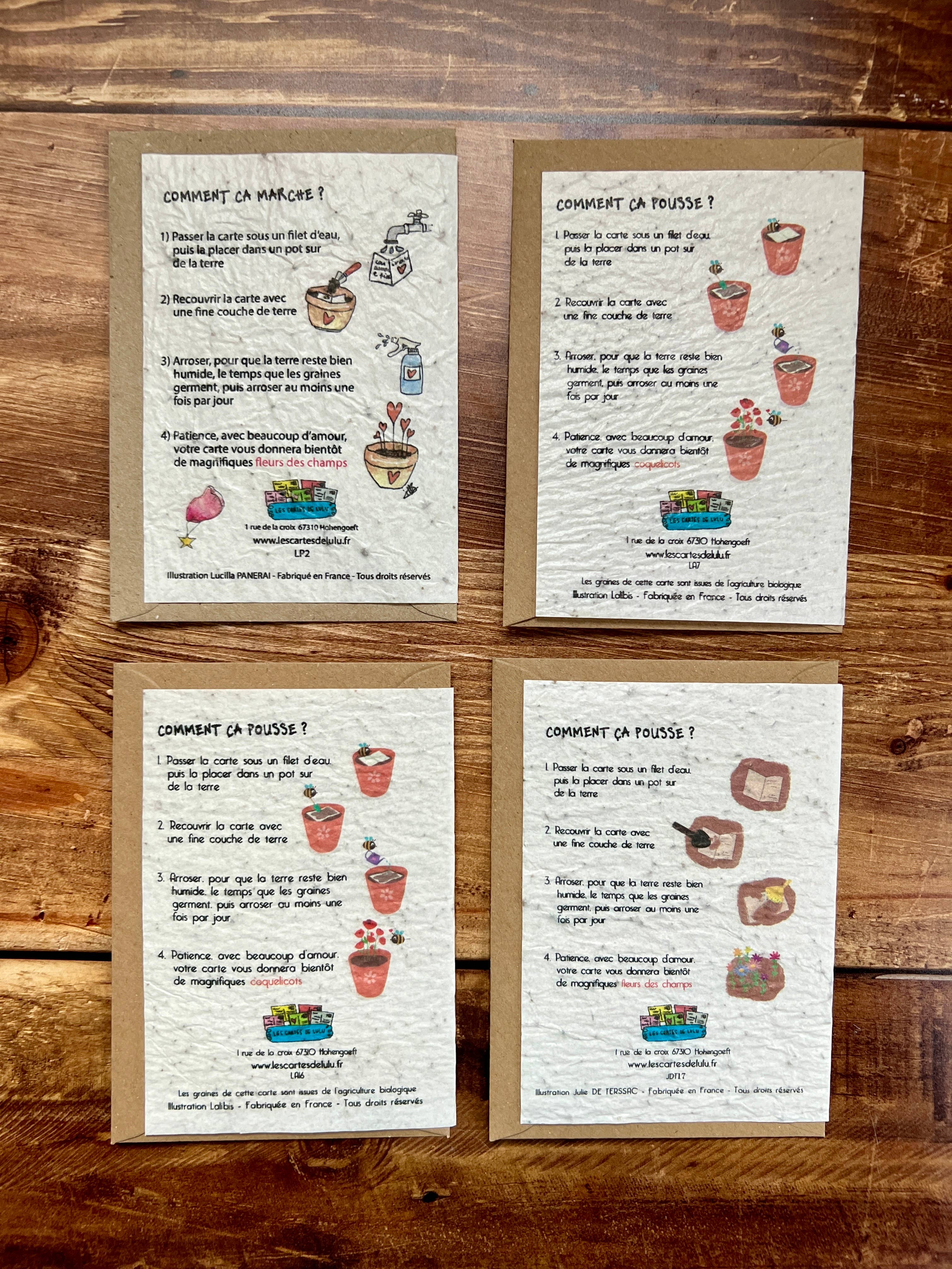 Les cartes de Lulu - Vendita all'ingrosso Biglietti d'amore - Set di 12 carte di amore con semi piantabili - San Valentino1