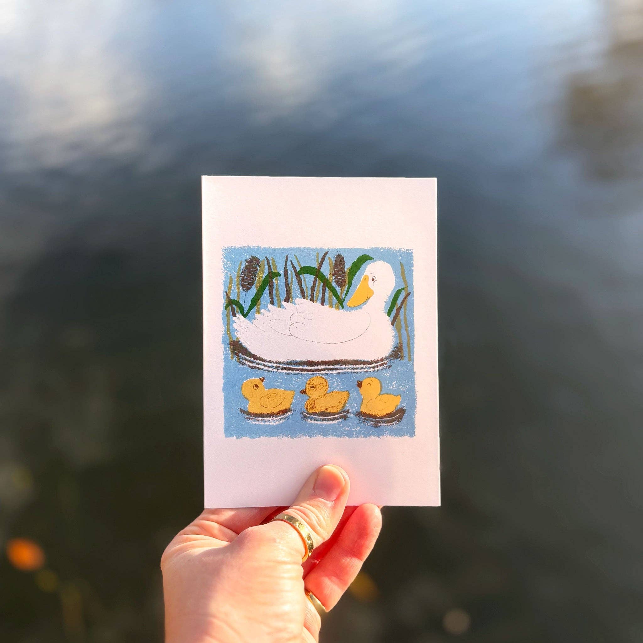 Olive Press Publishing – wholesale Everyday greeting card – Duck and Ducklings by Meg Rennie1