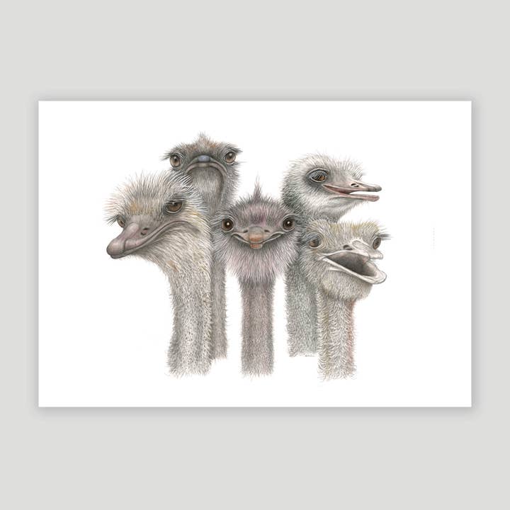 Fine art print - Tootsies for wholesale by Charlotte Nicolin
