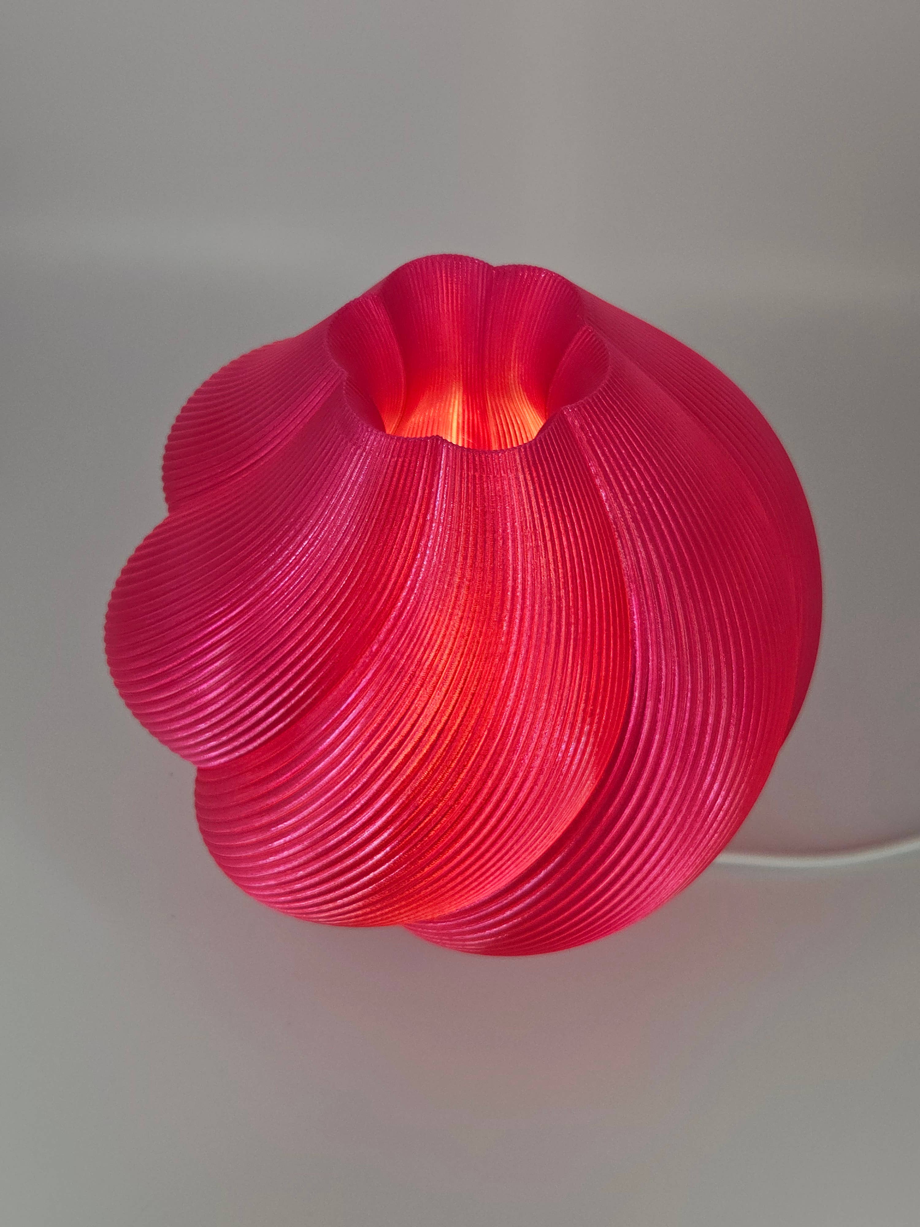 Coast Fig - Wholesale Accent/Desk Lamp - Concha ondulada - Rojo frambuesa2