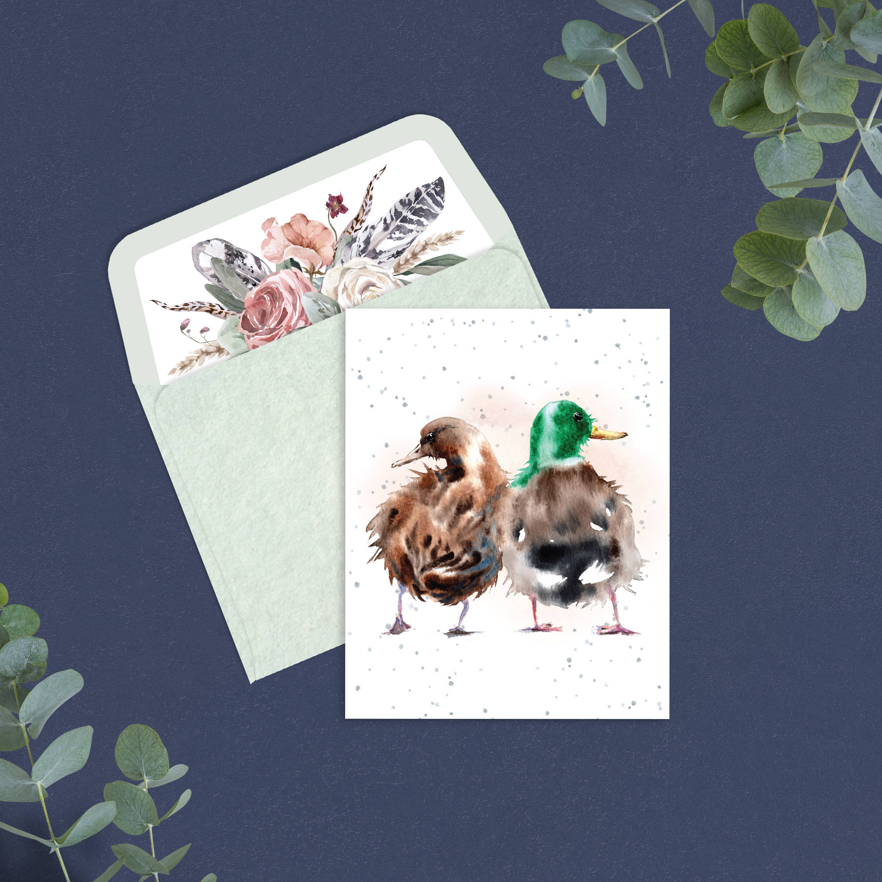 Norcard Enterprises LTD - Wholesale Everyday Greeting Card - ENC/What a Quack