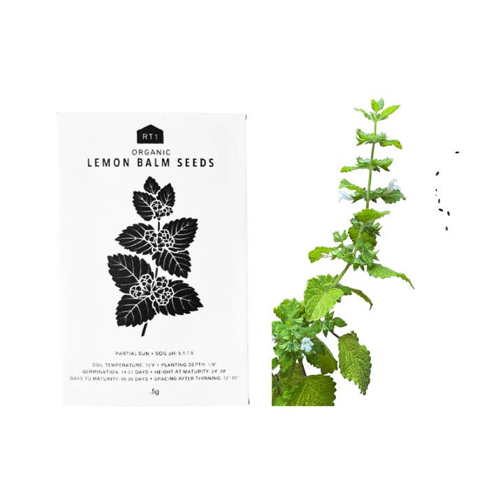 RT1home - Wholesale Plant Seeds - TEA HERB SEEDS - PACK OF 5