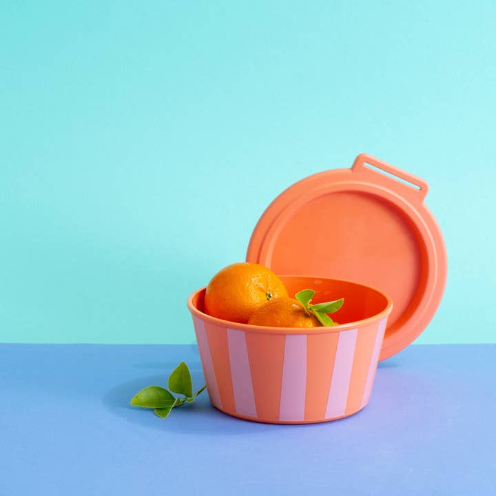 strong coral Bowl with Lid NORA BOX 700ml STRIPES for wholesale on Faire3