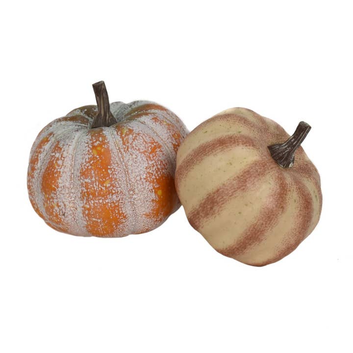 2.5"-3" Fairytale Pumpkins for wholesale by David Christopher's Collection