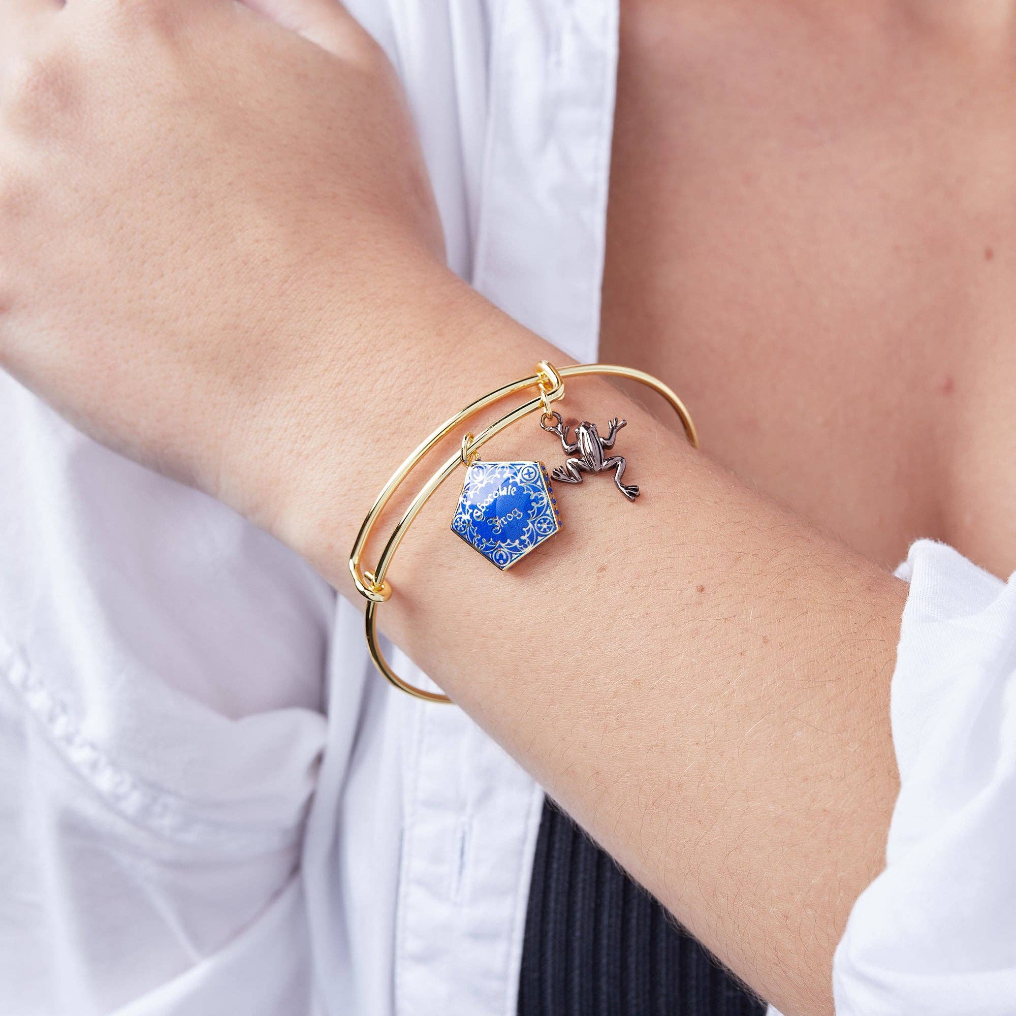 Alex and Ani - Vente Bracelets à breloques/pendentifs - Bracelet à deux breloques Chocolat Grenouille™ Harry Potter1