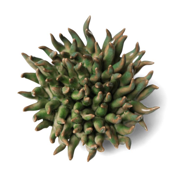 Entryway Gifts: Ceramic Flowers for First Impressions for wholesale by Chive