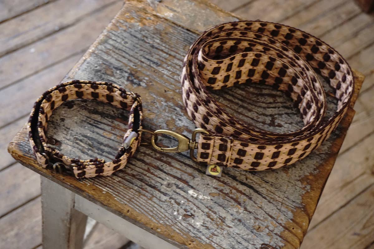 hundsfutter - Wholesale Pet Collar - Cat/Dog - Fran leash collar5