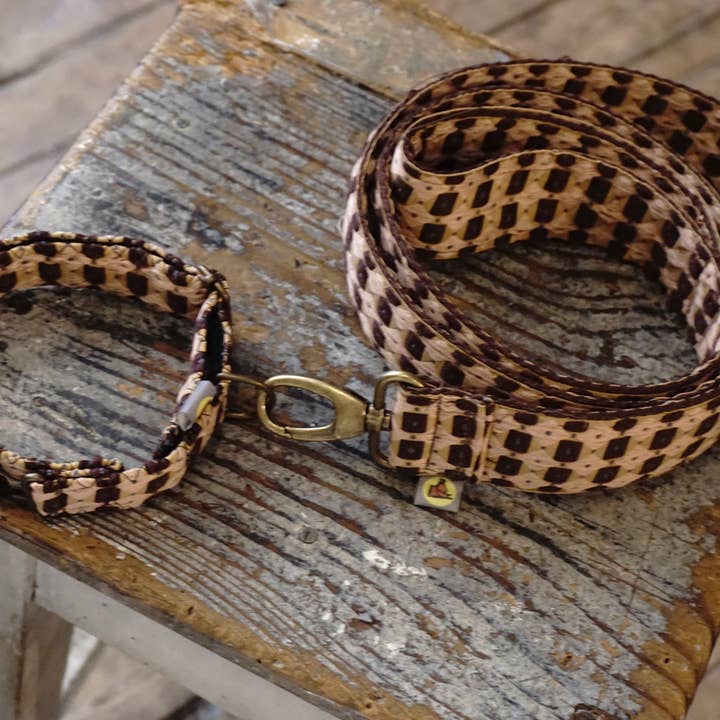 hundsfutter - Vendita all'ingrosso Collare - Cani e gatti - Collare con guinzaglio Fran5