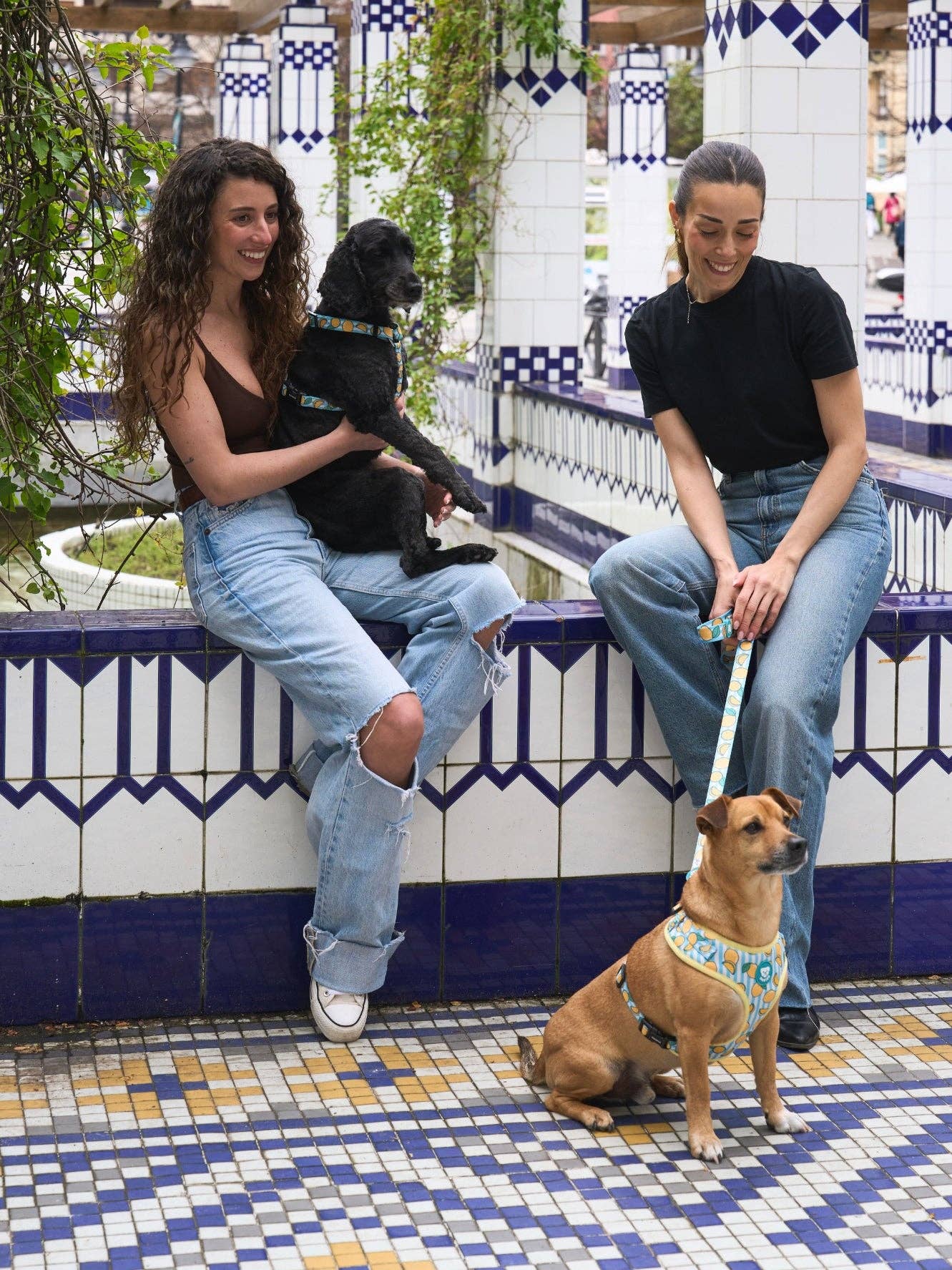 Dukier - Wholesale Pet Harness - Dog - ADJUSTABLE DOG HARNESS LEMONS7