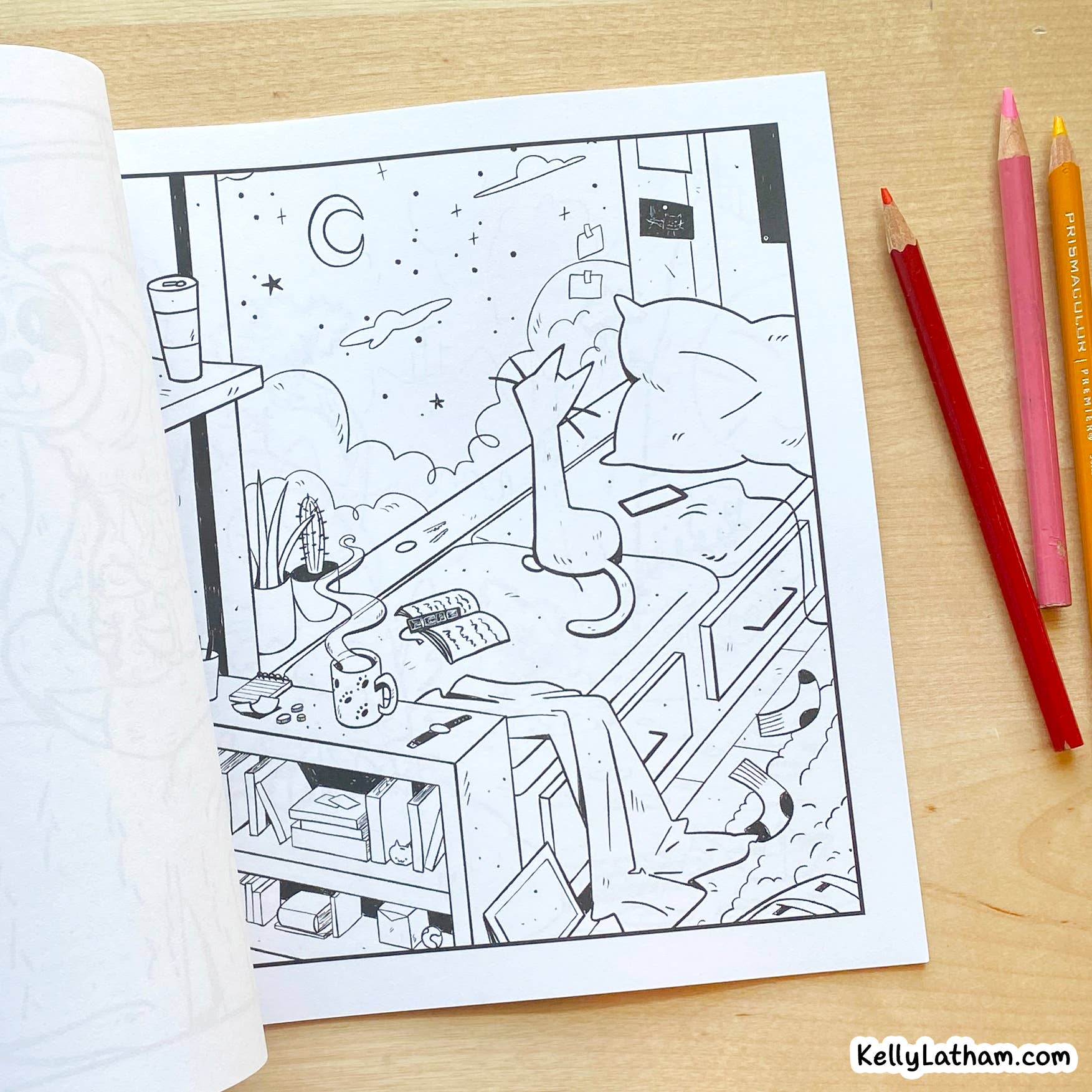 Kelly Latham Art - Wholesale Coloring & Activity Book - Adult - Far Off Places – Cute & Relaxing Coloring Book for Adults1