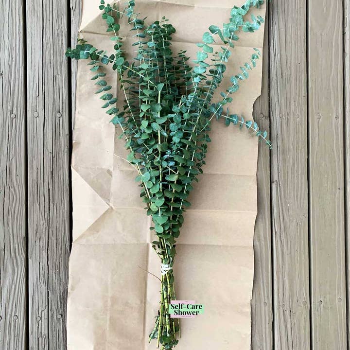 Self-Care Shower - Wholesale Live Plant - Fresh Eucalyptus Bundle | For Shower/Vase | SAN DIEGO GROWN