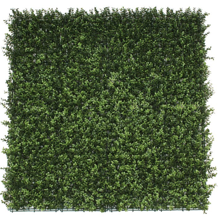 Natural Artificial Boxwood Wall 40" x 40" for wholesale by Designer Plants
