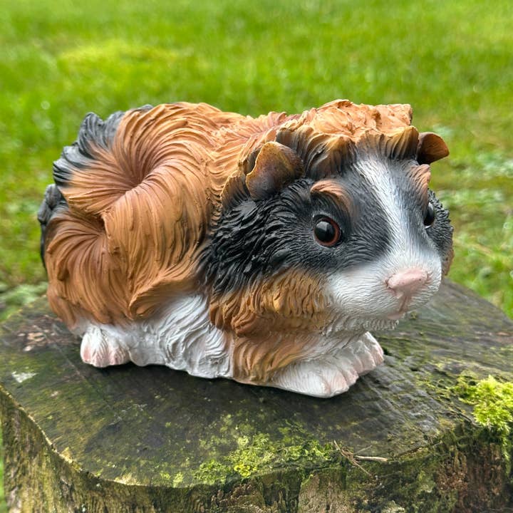 Animal Crackers 18cm Guinea Pig figurine, tri-colour tortoiseshell with long haired coat for wholesale by Animal Crackers