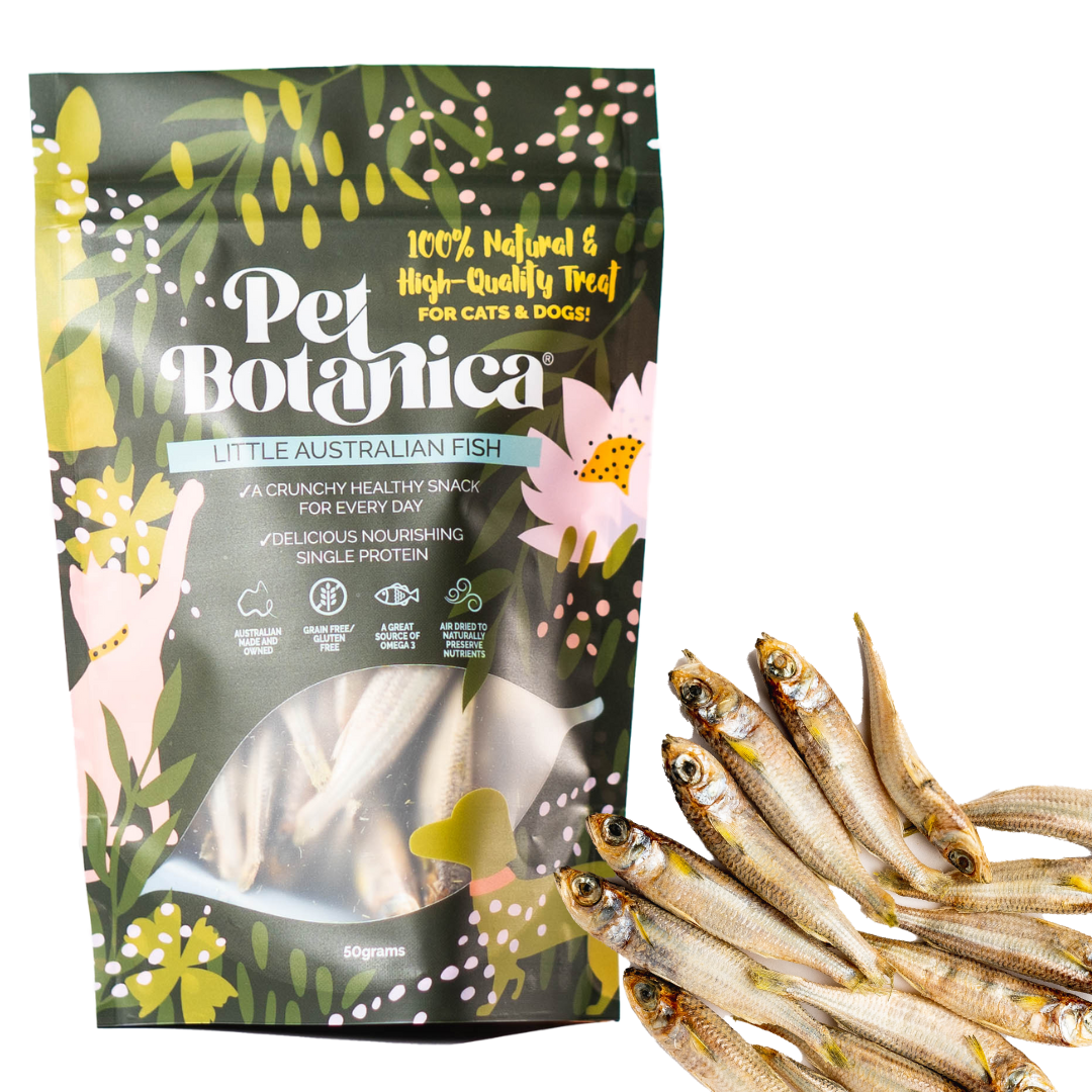 Pet Botanica - Wholesale Pet treats – Dog - Little Australian Fish Pet Treats | Dog Treats | Cat Treats1