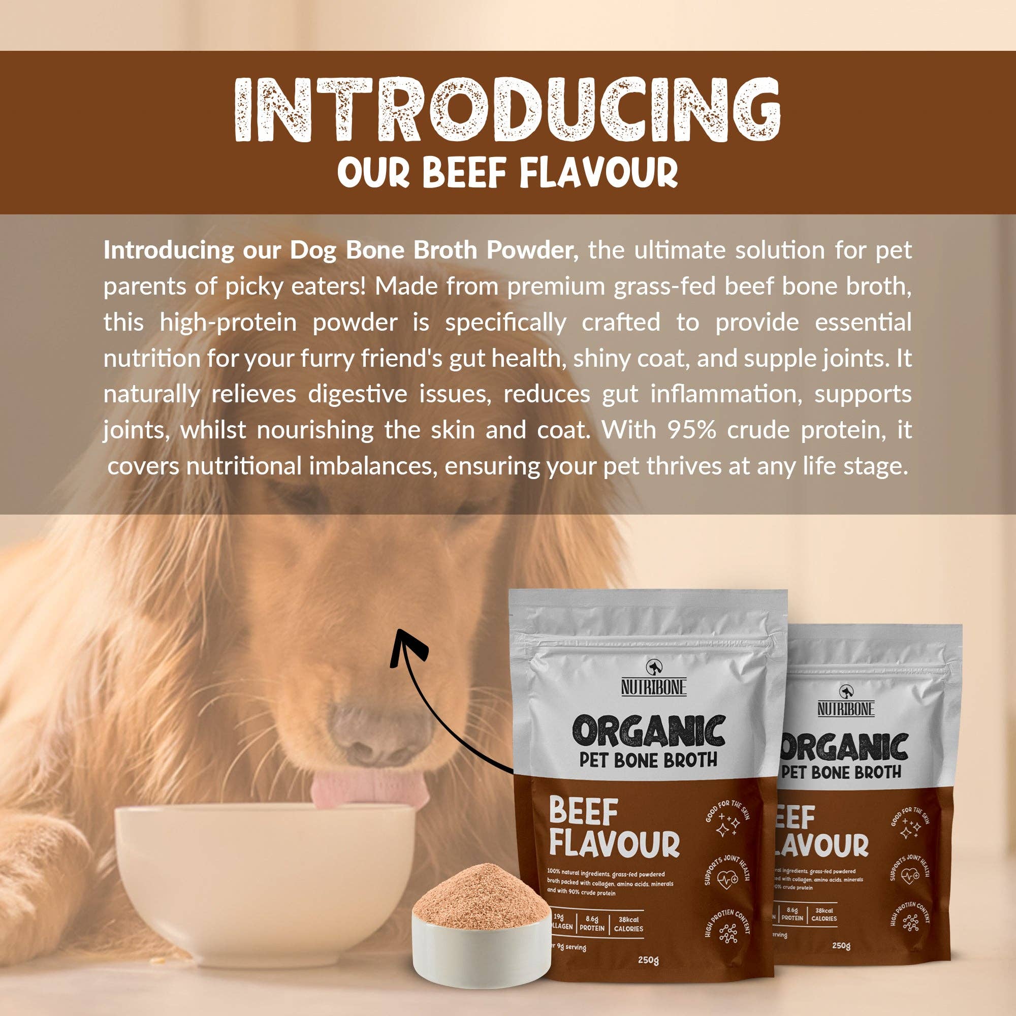 OurPetsLife - Vente Nourriture – chien - Bouillon d’os en poudre pour animaux6