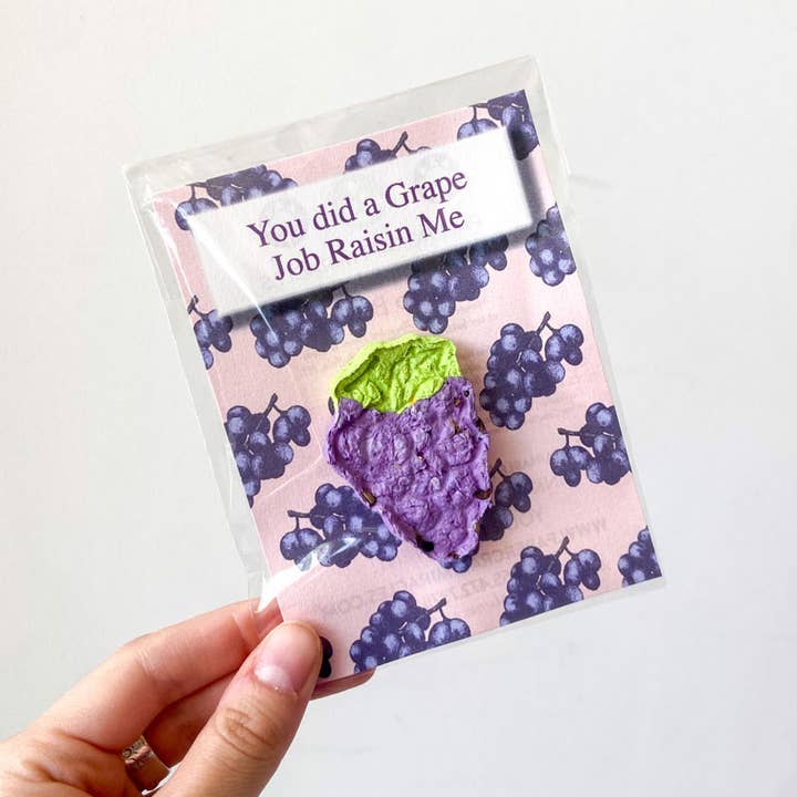 Druer Job Rosin Mig Frø Bombe for engroshandel hos Papercraft Miracles LLC