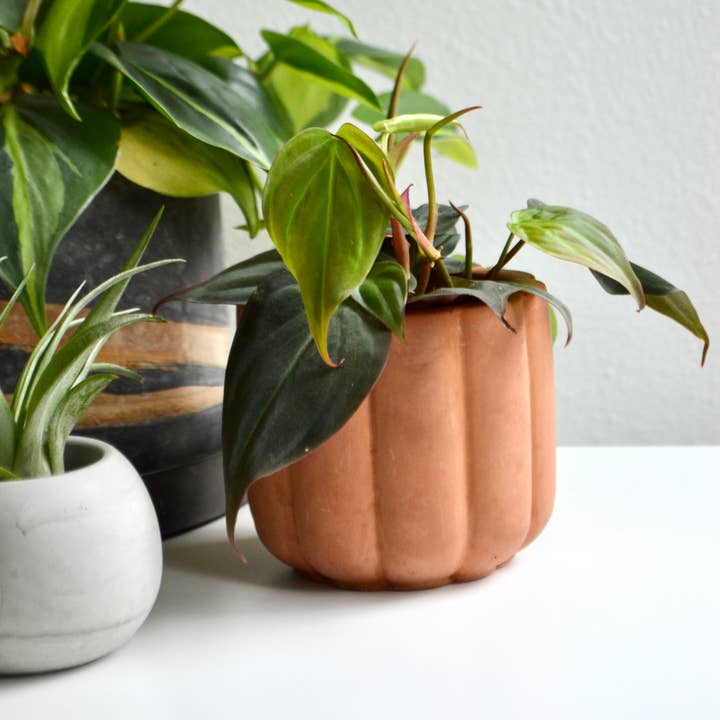 LindaMakess – wholesale Plant pot – Fluted cylinder planter0