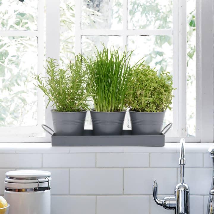 Wholesale Gifts Tomorrow – wholesale Plant pot – Set of 3 Metal Herb/Plant Pots with Drip Tray (Charcoal Grey)6