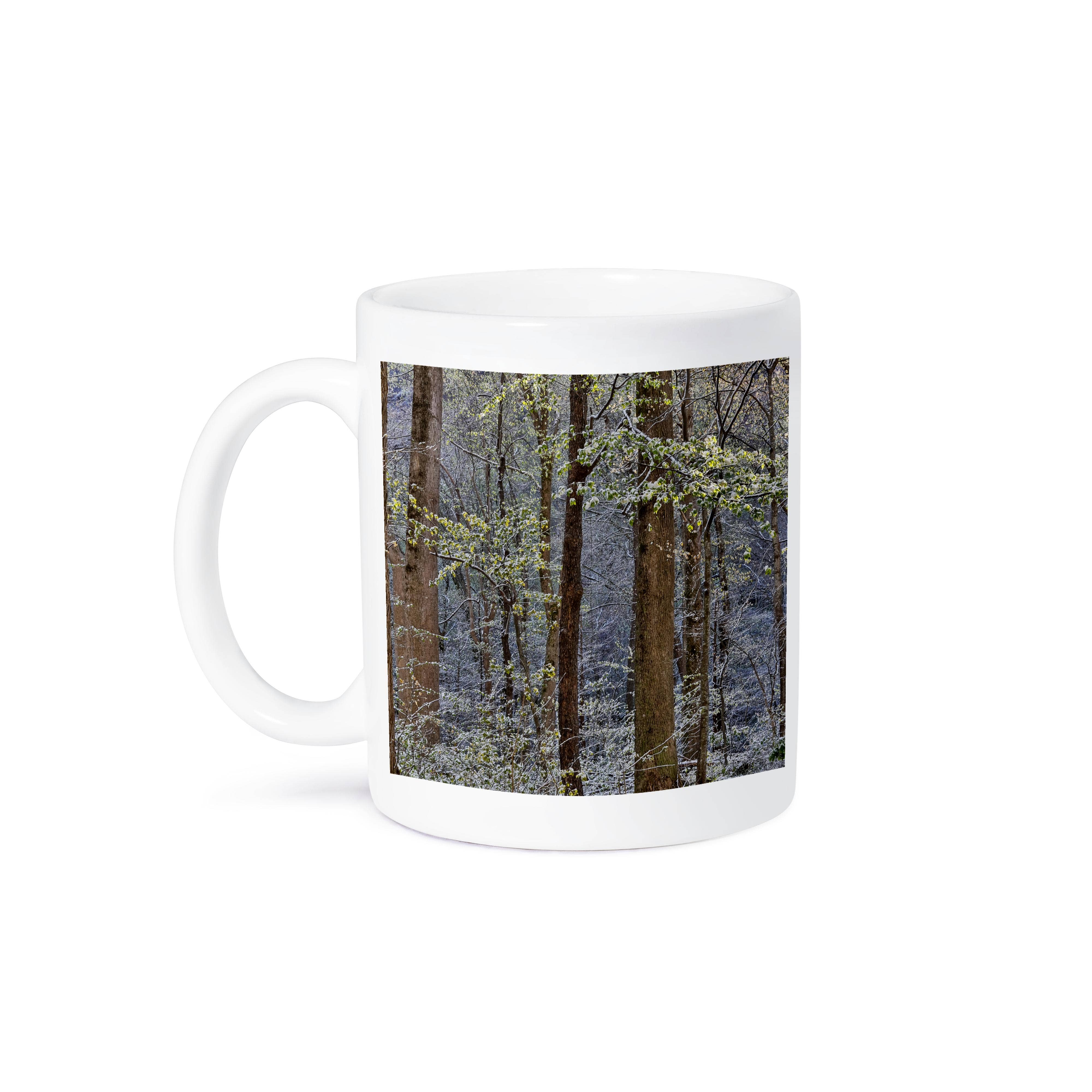 3dRose - Wholesale Coffee Mug - 3dRose, USA, Tennessee. Great Smoky Mountains National Park. Springtsnow 6, Mug8
