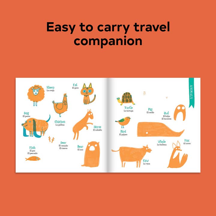 Chronicle Books - Wholesale Language & Linguistics - Let's Learn Spanish4