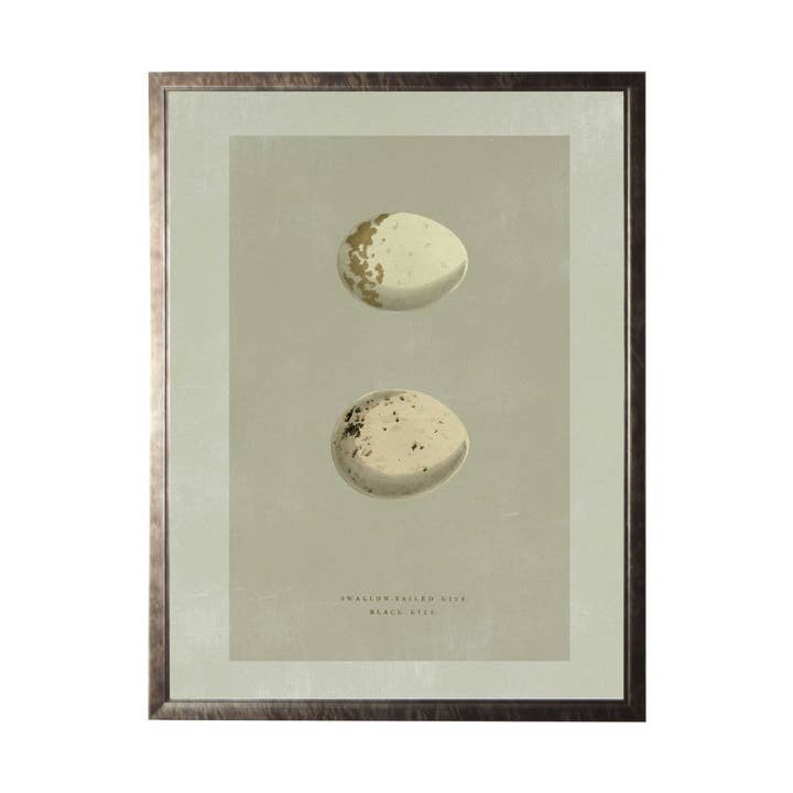 Ägg Bokskylt F för wholesale av Antique Curiosities Inc