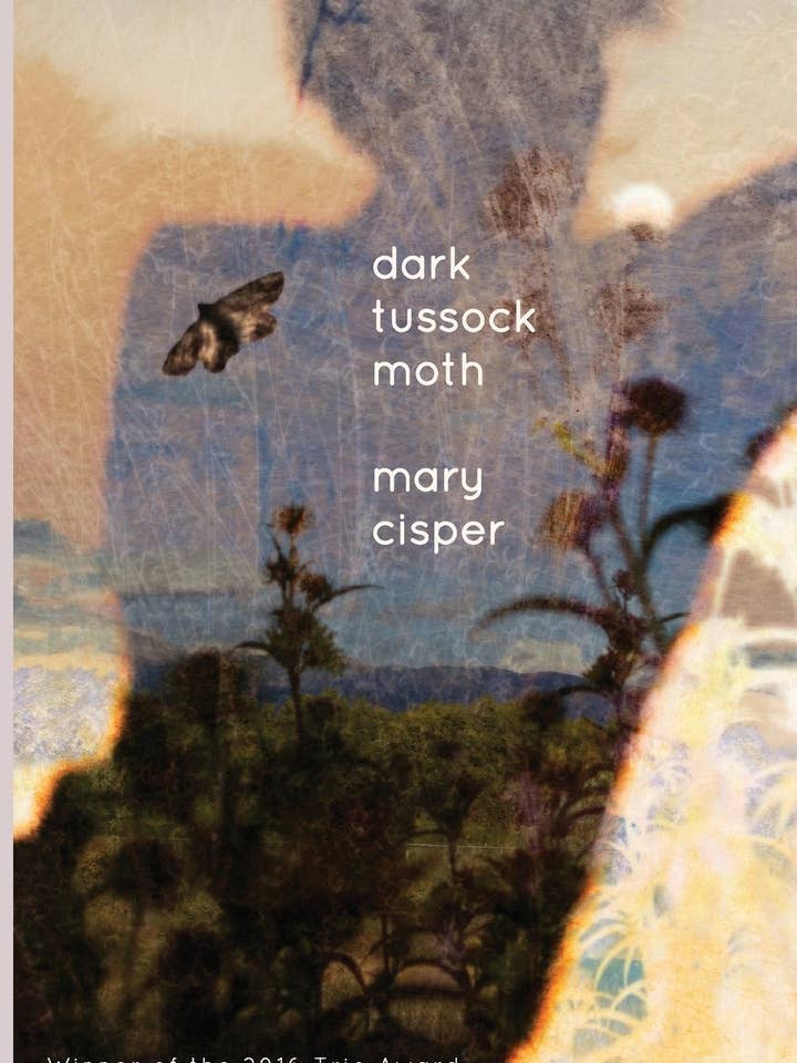 Dark Tussock Moth by Mary Cisper for wholesale by Trio House Press