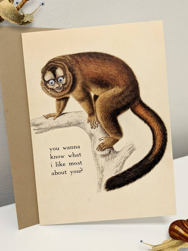 You Wanna Know What I Like Most About You? Greeting Card for wholesale by Shut Up Telescope