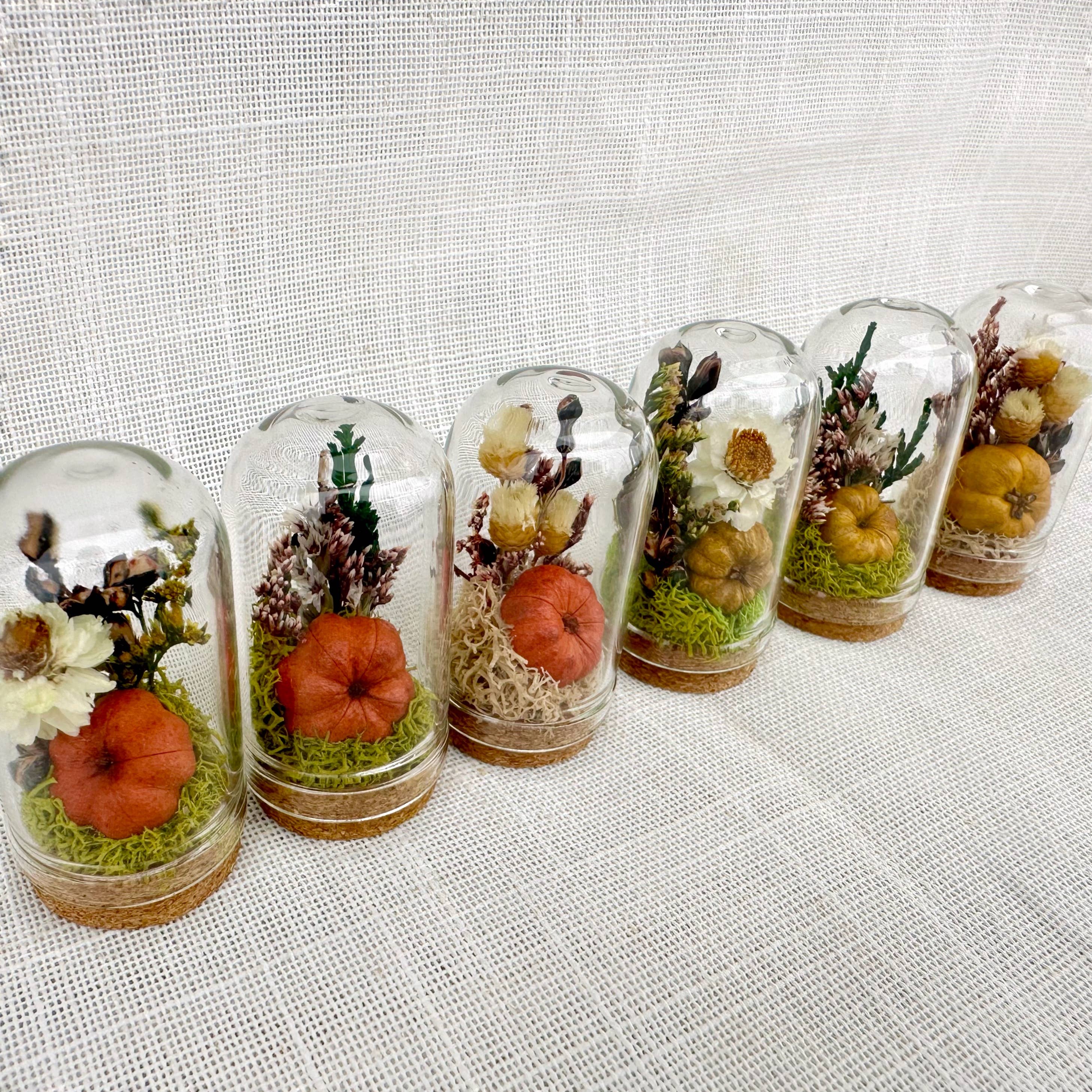 CA Studios - Wholesale Terrarium - Pumpkin Mix Mini Terrarium Potion Jar w Dried Florals0