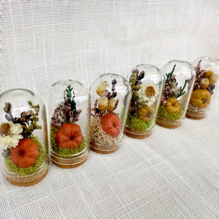 CA Studios - Wholesale Terrarium - Pumpkin Mix Mini Terrarium Potion Jar w Dried Florals