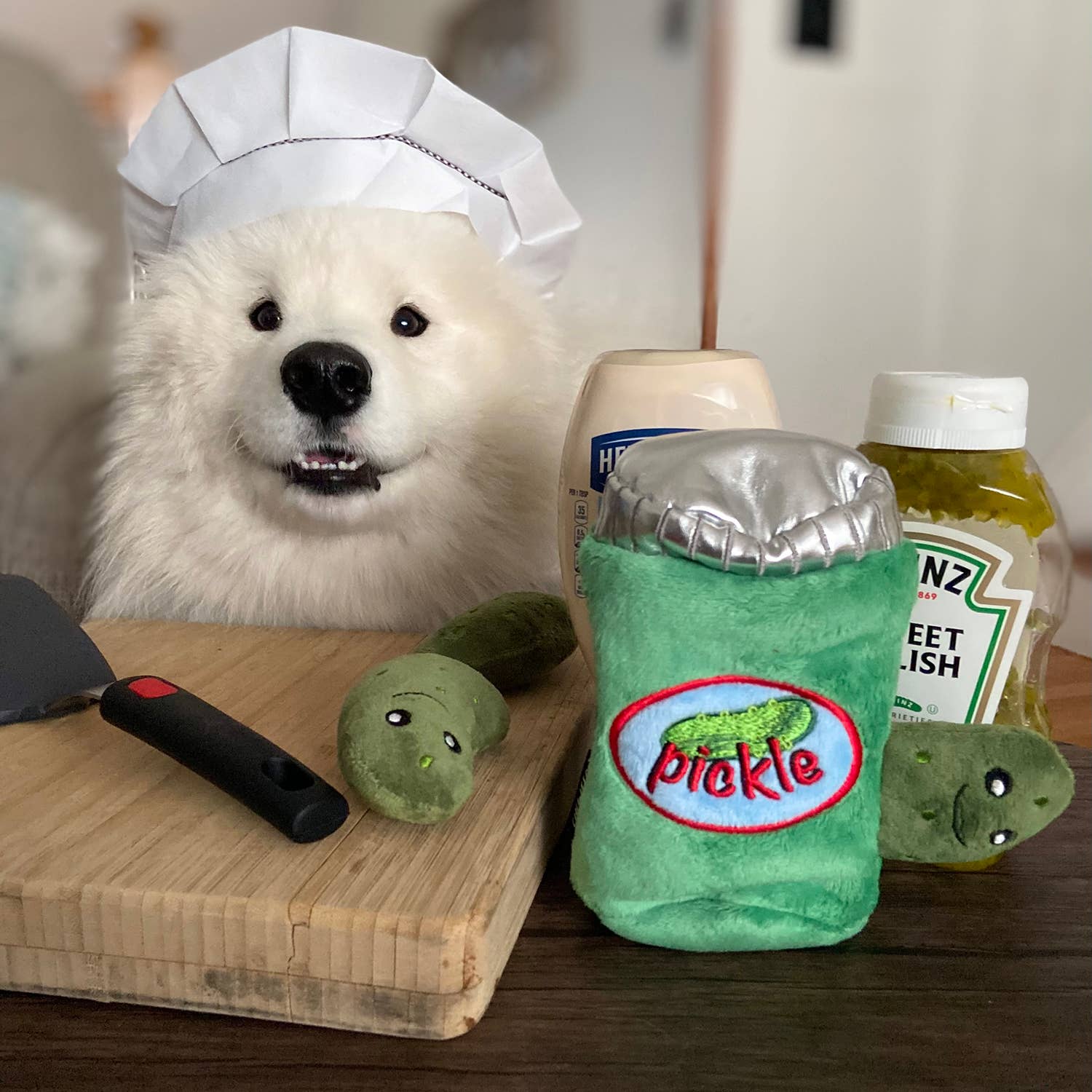 CHEWFFON - Wholesale Pet Plush Toy - Dog - CHEWFFON Pickle Jar Hide & Seek Dog Toy3