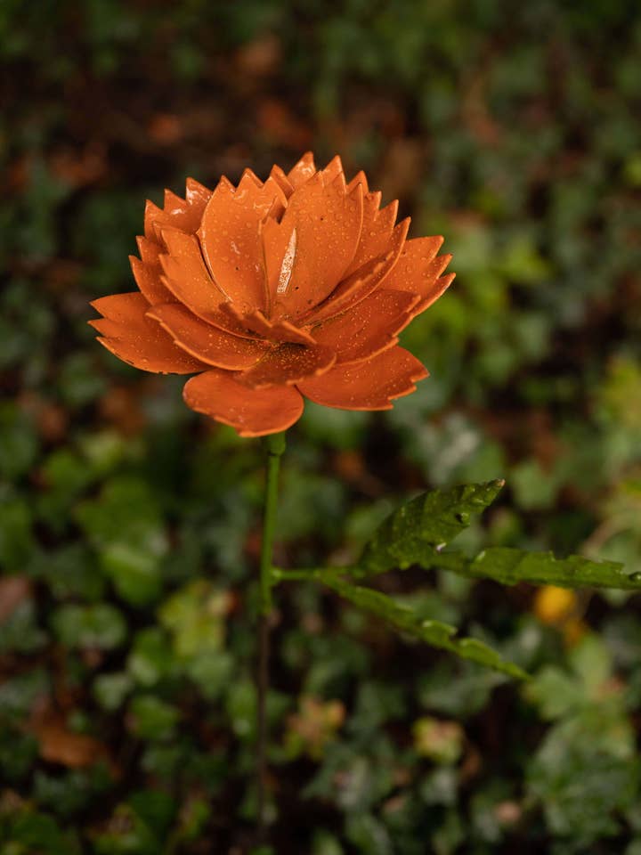 Recycled Metal Garden Artwork - Chrysanthemum for wholesale by chi-africa