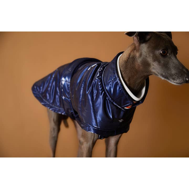 The Striped Dog – Engroshandel Hundejakke - Hund – Italiensk Greyhound/Whippet Blå Vandtæt Turtleneck Jakke RUE4