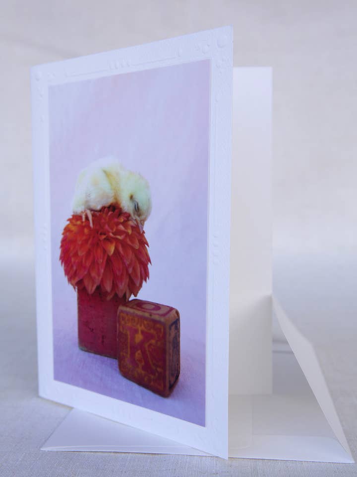 Sleeping Dahlia - Rescue - Handgemaakte wenskaart voor wholesale door Sonoma Chicks