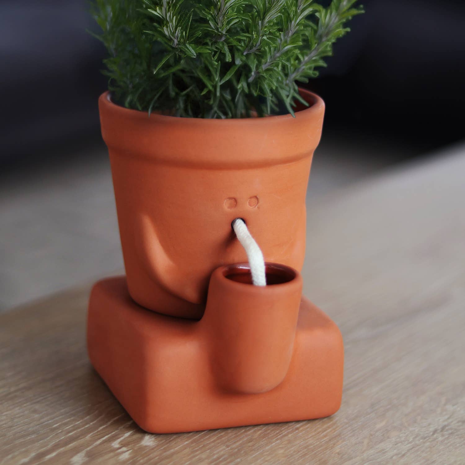Pikkii - Vente Pot - Le Planteur Assoiffé | Pot de Plante Auto-Arrosant | Cadeau de Plante6
