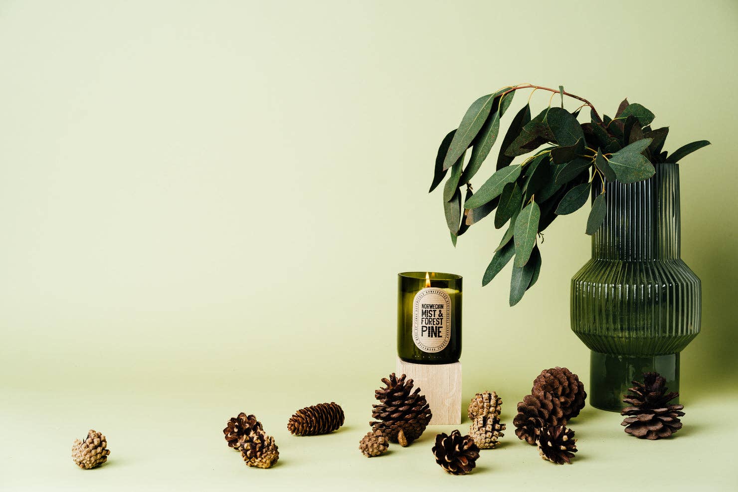 Scent.ily – Großhandel Kerze im Glas / gefüllte Kerze – Panda Botanicals: Norwegischer Nebel und Waldkiefer: 8 Unzen